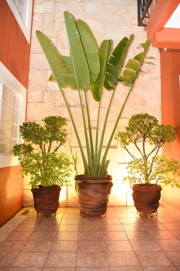 Hotel Camba Oaxaca Exterior photo
